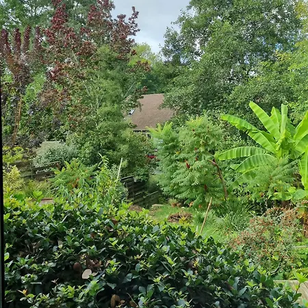 Belle Maison D'Art Verdoyante & Jardin Saint-Rémy-lès-Chevreuse Exterior foto