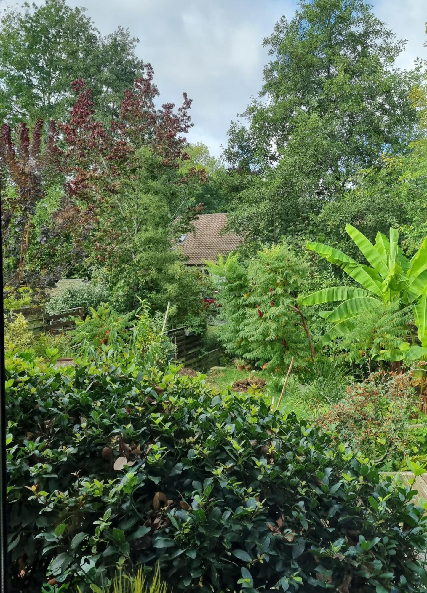 Séjour chez l'habitant Belle Maison D'art Verdoyante & Jardin