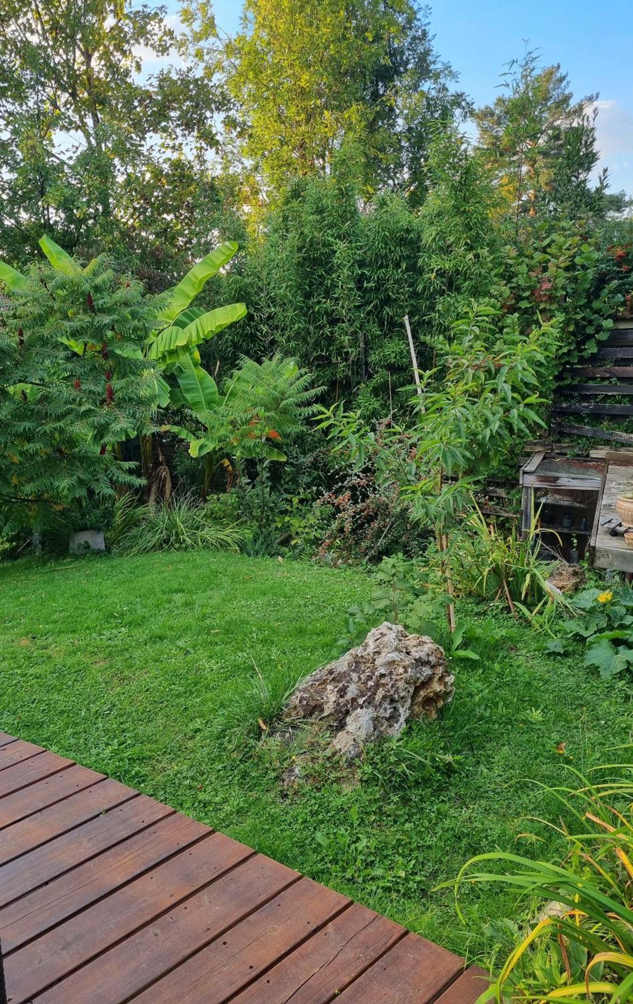 Séjour chez l'habitant Belle Maison D'art Verdoyante & Jardin *