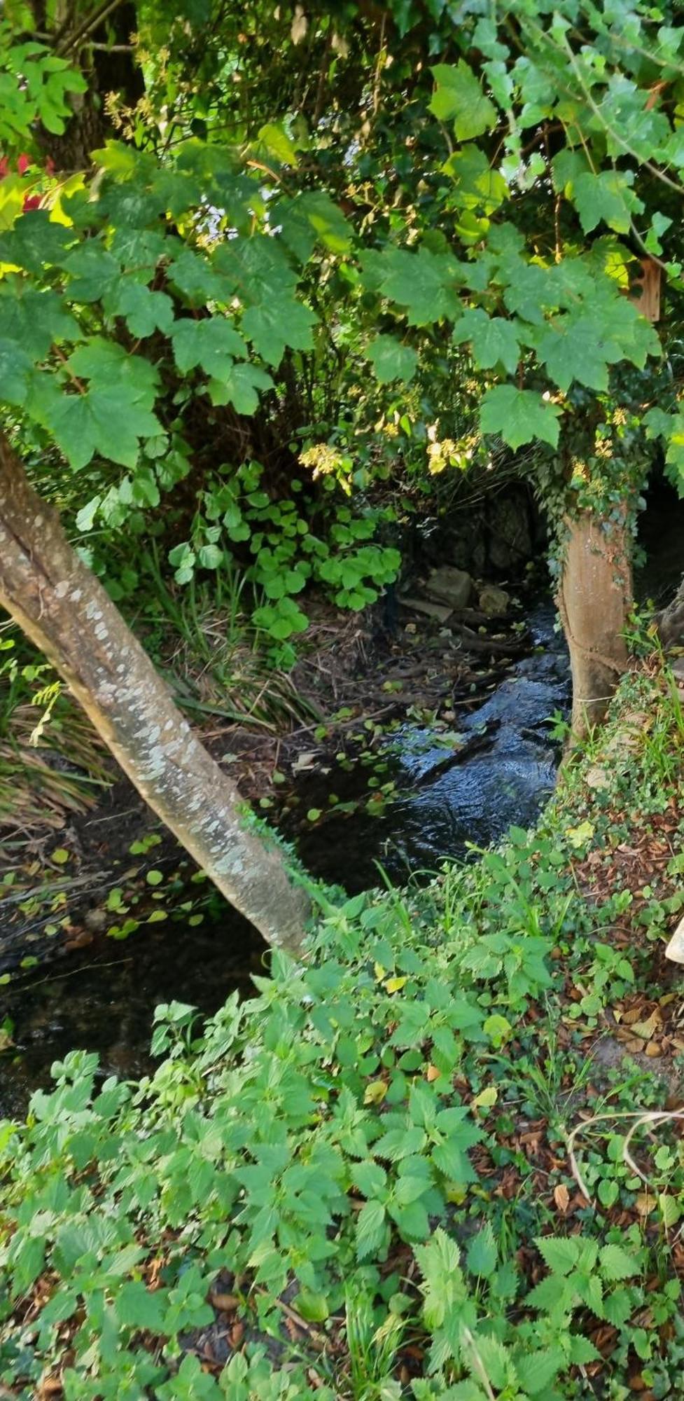 Séjour chez l'habitant Belle Maison D'art Verdoyante & Jardin Saint-Rémy-lès-Chevreuse