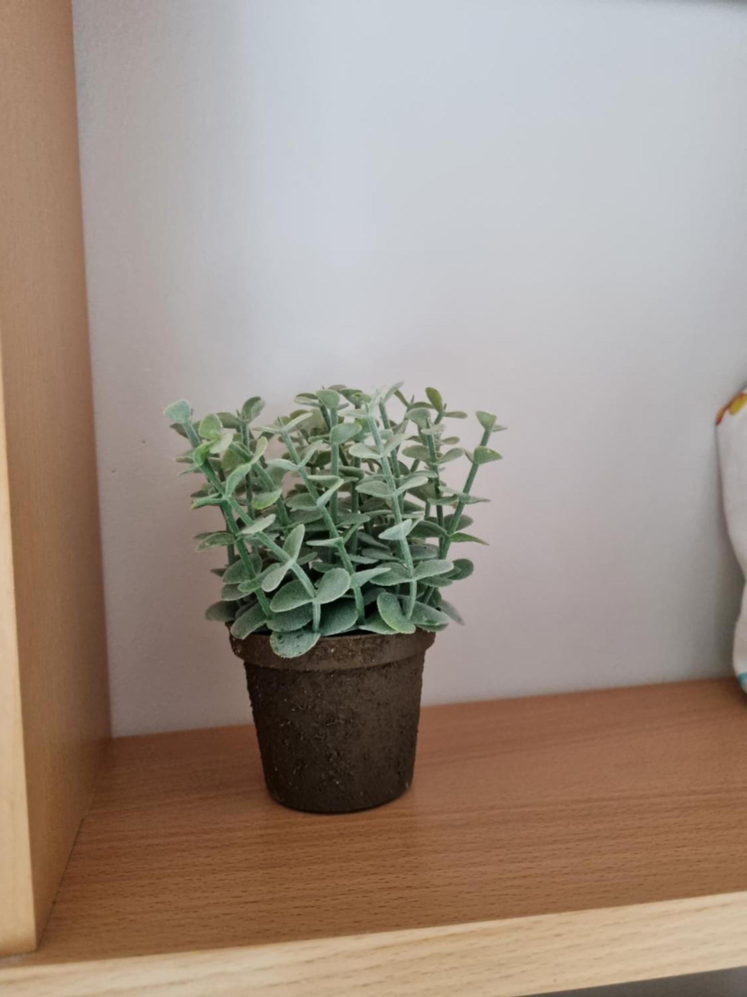 Séjour chez l'habitant Belle Maison D'art Verdoyante & Jardin *